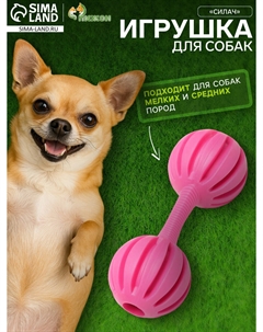 Игрушка жевательная Пижон