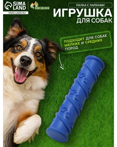 Игрушка жевательная с утопленной пищалкой Пижон