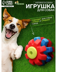 Игрушка жевательная Пижон