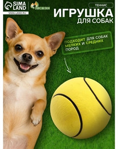 Мячик цельнолитой Пижон