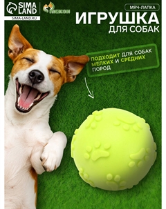 Игрушка Пижон