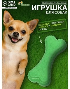 Игрушка жевательная Пижон