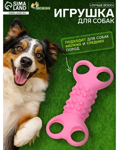 Игрушка жевательная Пижон