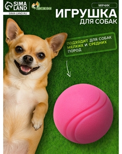 Мячик цельнолитой прыгучий, tpr, 6 см, розовый Пижон