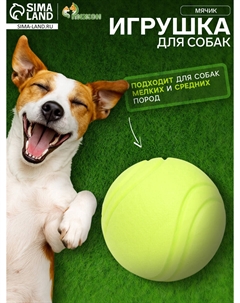 Мячик цельнолитой прыгучий, tpr, 6 см, желтый Пижон