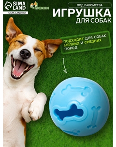 Мяч под лакомства, утолщенный tpr, 7 см, голубой Пижон