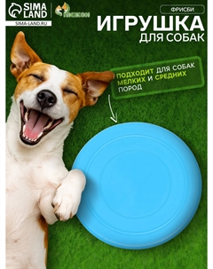 Фрисби, tpr, 14.5 см, голубая Пижон