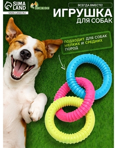 Игрушка жевательная Пижон