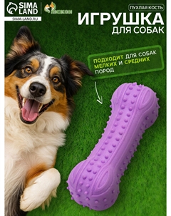 Игрушка жевательная Пижон