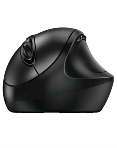 Мышь Wireless Ergo 8300S 31030037400 Black Genius
