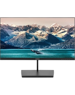 Монитор 21,5" Progress 22A501F черный VA LED 5ms 16:9 HDMI M/M матовая 250cd 178гр/178гр 1920x1080 100Hz G-Sync VGA DP FHD 2.2кг Digma