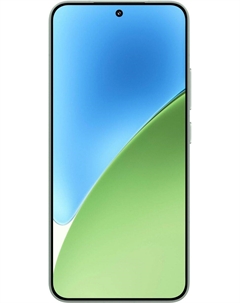 Смартфон Xiaomi 15 RU 12/512GB MZB0IUTRU (61306) Green