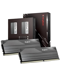 Модуль памяти DDR5 96GB (2*48GB) K5.01.FPM5FF9501 PC5-51200 6400MHz CL32 радиатор Kingbank