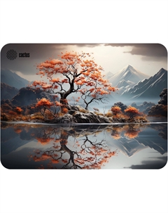 Коврик для мыши CS-MP-PRO18XL Lake 400x300x3мм Cactus