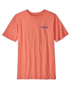Футболка детская, Alpine Icon Coho Coral Patagonia