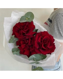 Французские розы Dari цветы