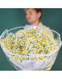 Букет из Ромашки 7 шт и белой Гипсофилы 5 шт Dari цветы