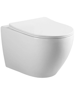 Унитаз Pro RCT-150517WH подвесной с сиденьем Микролифт Royce