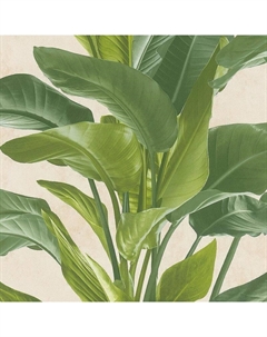 Обои Global Cities 38039-2 Винил на флизелине (1,06*10,05) Зеленый/Бежевый, Листья As creation