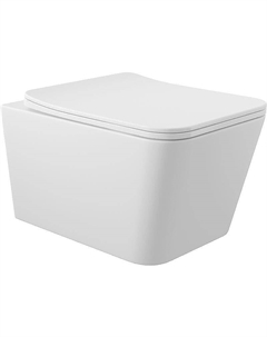 Унитаз Macio MAC0120 подвесной Белый матовый с сиденьем Микролифт Aqueduto