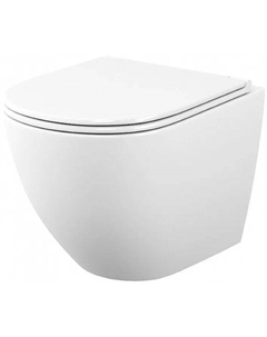 Унитаз Elena EA10PBM06-844 подвесной с сиденьем Микролифт Maretti