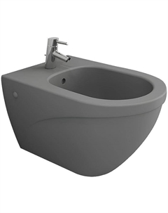 Биде Taormina Arch 1121-006-0120 подвесное Серое матовое Bocchi