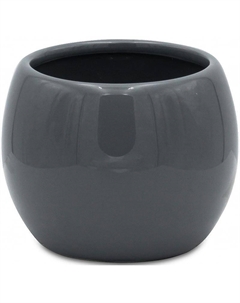 Стакан для зубных щеток Belly 2115107 Серый Ridder