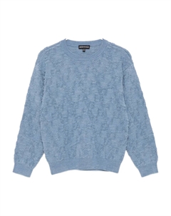 Джемпер с мотивом-интарсией, синий Emporio armani kids