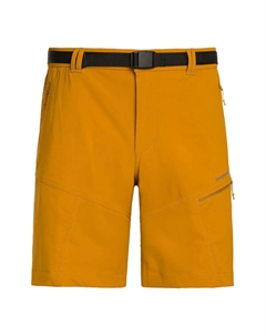 Бермуды мужские Limut Sf, темно-коричневый Trangoworld