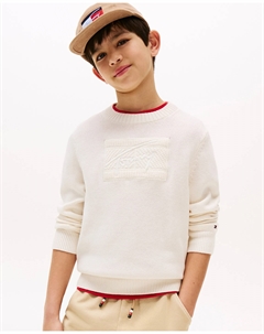 Детский свитер с вышитым логотипом и круглым вырезом, белый Tommy hilfiger