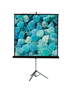 Экран Clamp Pro TCP-1101 мобильный (1:1) 127*127 (121*121) MW Viewscreen