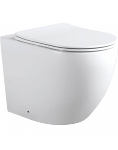 Унитаз Cetus 2.0 Rimless 243540 приставной с сиденьем Микролифт Aquanet