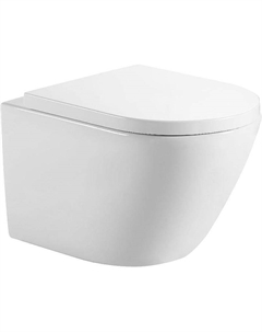 Унитаз ZV-2 303978 подвесной с сиденьем Микролифт Aquanet