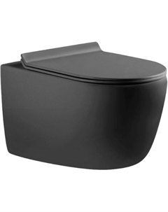 Унитаз Cetus-GW Rimless 287009 подвесной с сиденьем Микролифт Aquanet