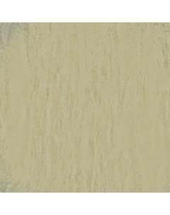 Декоративная фактурная штукатурка Traverta TR 10-15 Зеленая Decorazza