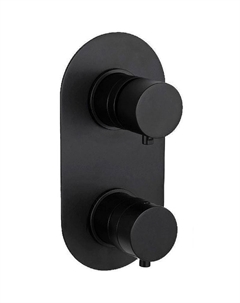 Смеситель для душа Minimal Thermo NT93KBCFP с термостатом Черный хром брашированный Remer