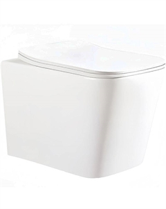 Унитаз Maiella Aria PP CT10479 подвесной с сиденьем Микролифт Ceruttispa