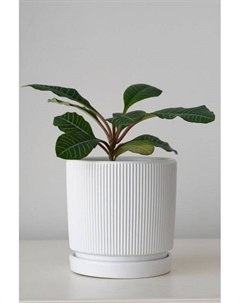 Кашпо керамическое с блюдцем Рельеф Mandarin decor