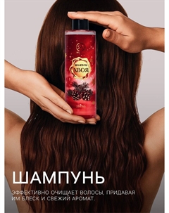 Шампунь для волос secret beauty, аромат хвои, красная серия, 250 мл Sb beauty