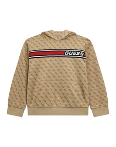 Толстовка Quatro G с капюшоном для больших мальчиков, коричневый/бежевый Guess