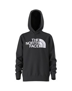 Толстовка с капюшоном Half Dome, черный The north face