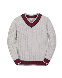 Органический свитер для крикета с длинными рукавами и V-образным вырезом для мальчиков, серый Hope & henry
