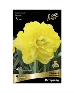 Нарцисс махровый Истертайд Люкс 12/14, 3 шт. Поиск
