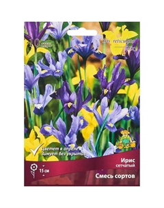Ирис сетчатый смесь сортов, 10 шт. Поиск