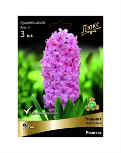 Гиацинт садовый махровый Розетта 15/16, 3 шт. Поиск