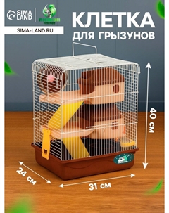 Клетка для грызунов Пижон