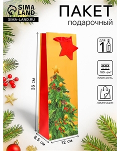 Пакет подарочный новогодний под бутылку, упаковка Nobrand