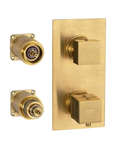 Смеситель для душа Q-Elegance QT93KBBG с термостатом цвет Золото брашированное Remer