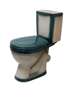 Унитаз компакт Лира 4620008192062 Зеленый декор с бачком и сиденьем Rosa