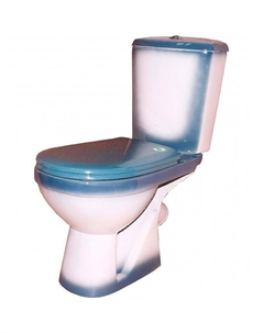 Унитаз компакт Комфорт 4620008191003 Зеленый декор с бачком и сиденьем Rosa